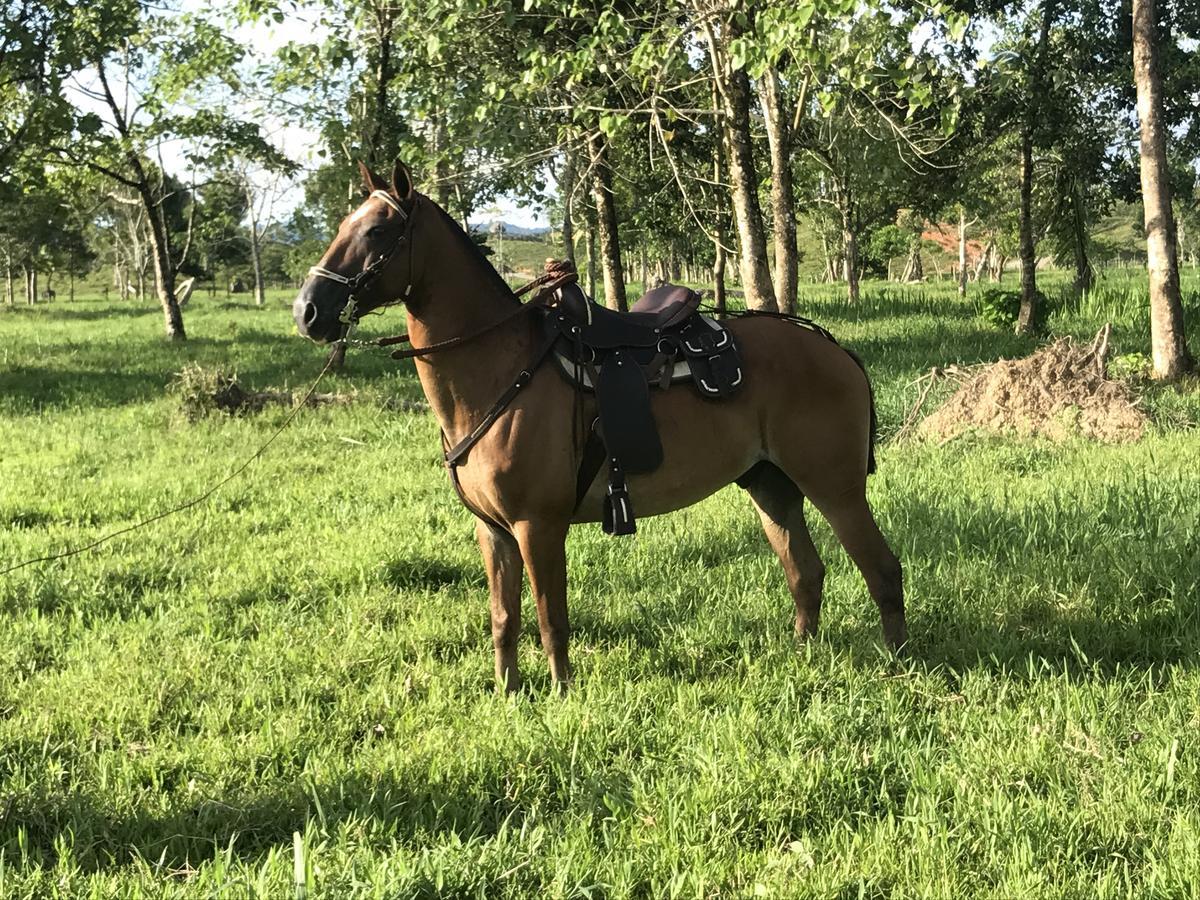 Tenamit Maya El Higuerito Luaran gambar